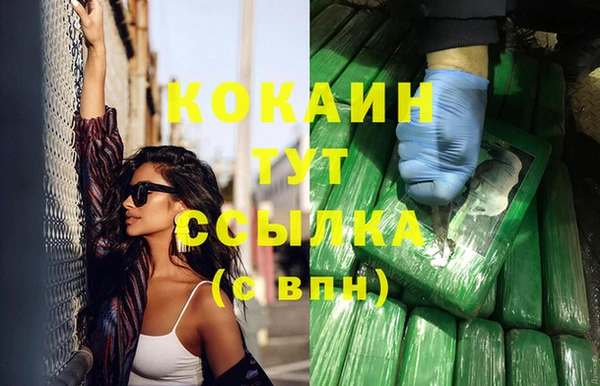 шишки Беломорск