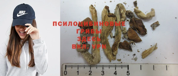 тгк Белокуриха