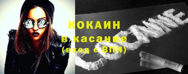 шишки Беломорск
