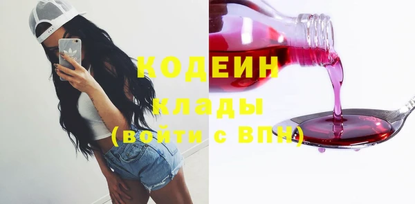 шишки Беломорск