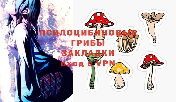 2c-b Белоозёрский