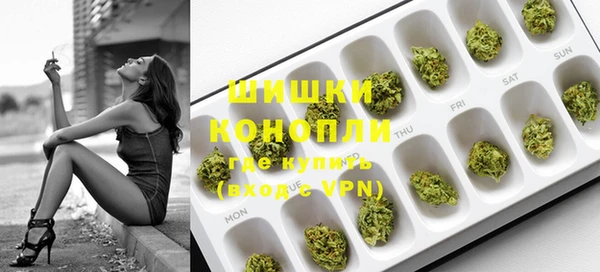 шишки Беломорск