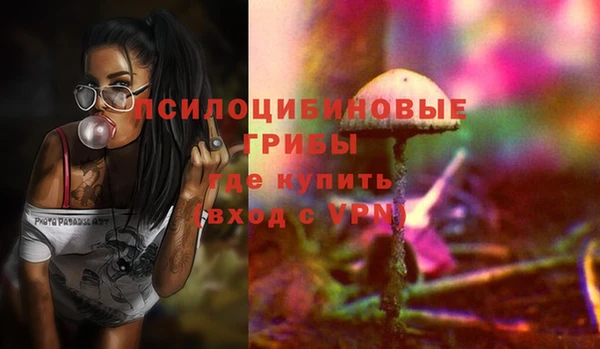 2c-b Белоозёрский