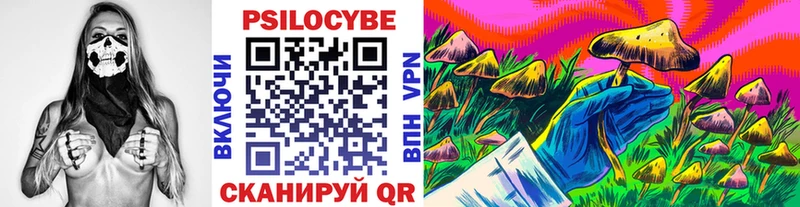 закладка  Высоцк  Галлюциногенные грибы ЛСД 