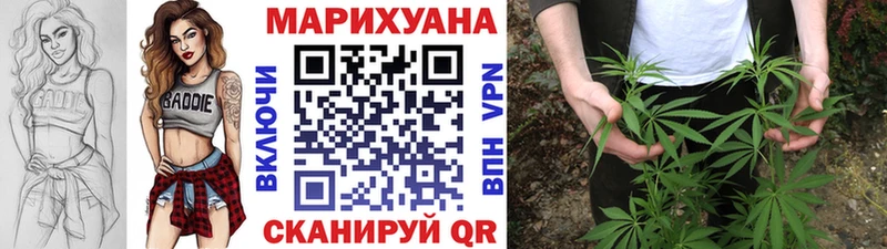 Конопля Amnesia  Высоцк 